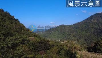 竹苗土地房屋 專任 竹東燥樹排買地送景觀美屋