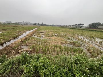 竹苗土地房屋 湖口德和路方正美田~近湖口市區