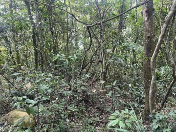 竹苗土地房屋 苗栗三義無敵景觀視野遼闊休閒美地