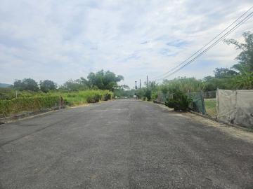 岡山房屋天后 田寮 大面寬 15米路 有水有電農地