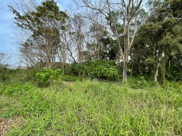 岡山白埔產業園區旁持分超大地坪都內農地0960626530黃俊傑