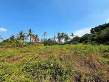 高雄永安台17線超值農牧用地0960626530黃俊傑