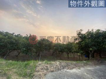 高雄田寮十一分地臨路好規劃休閒自用兩相宜0960626530黃俊傑