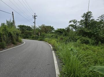 花蓮房地買賣_志學都內農地(壽豐A105)