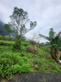 花蓮房地推薦 崇德旅遊服務中心農地