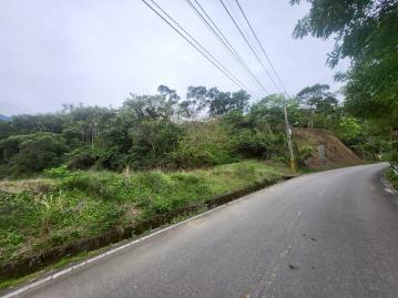 花蓮房地推薦 壽豐鄉正193線旁農地