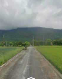 花蓮房地推薦 豐田最便宜農地