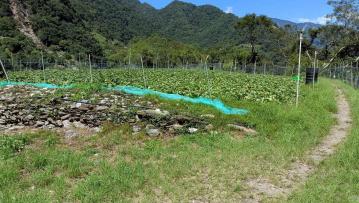 花蓮房地推薦 秀林鄉文山農地