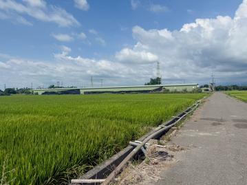 大林交流道旁方正農地