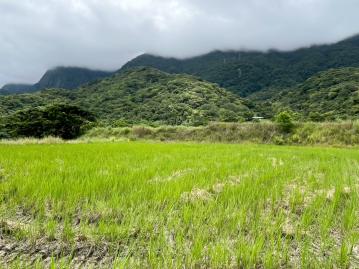 左營房屋房價  ?台東長濱大地坪觀山觀海農地