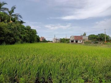 桃園推薦房屋 觀音【蓮花園區】面寬美農地438坪