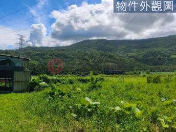 《專售》鳳林南平1甲多農地1593萬
