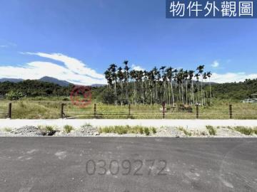 花蓮玉里正台九線上稀有方正建地 