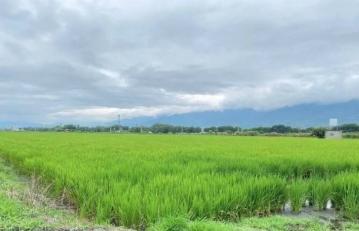 花蓮吉安找房 玉里農地
