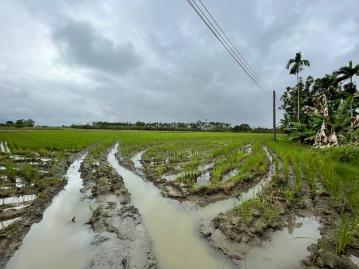 花蓮吉安找房 光復環境優美稀有農地+建地