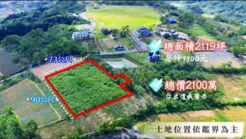 花蓮吉安找房 專任-台東鹿野高台熱氣球旁絕美農地