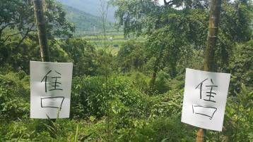 花蓮吉安找房 壽豐山坡種檳榔可農保土地