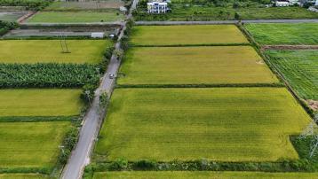花蓮吉安找房 花東縱谷漂亮投資方正美農地
