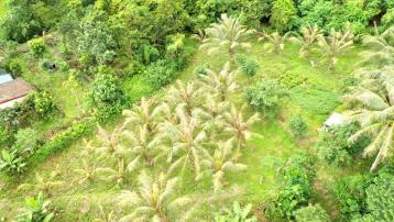 花蓮吉安找房 台九線秀林崇德便宜原保美農地