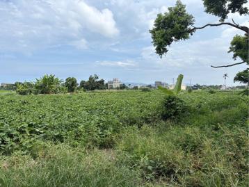 花蓮吉安找房 吉安都內小筆農地-3
