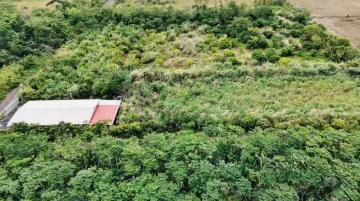 花蓮吉安找房 林榮輕航機區方正美農地