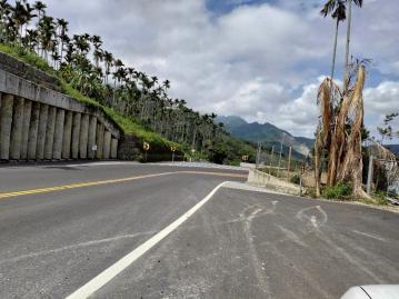 嘉義店面一姐 正阿里山公路旁國有林轉租E036