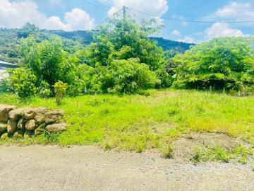 嘉義店面一姐 東山175咖啡公路旁建地