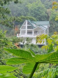 苗栗房產買賣 南庄與大自然共同呼吸芬多精絕美寧靜莊園C