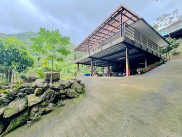 苗栗房產買賣 獅潭退休渡假優質綠地小農園