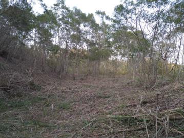 苗栗農地建地 專任造橋湖光山色社區美農地
