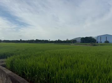 苗栗農地建地 桃園新屋臨6米美農地