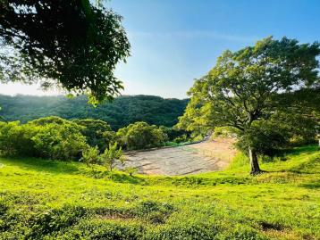 苗栗農地建地 專任通宵陶源居幸福莊園美景平坦農地