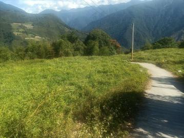 苗栗農地建地 專任泰安鄉大面積高山平坦農業用地