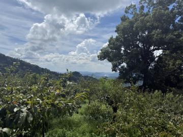 專任大湖馬拉邦山超低價美農地