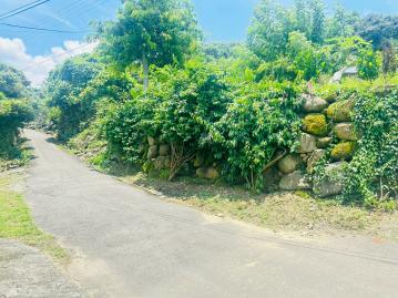 房地賞金獵人 東山175咖啡公路建地
