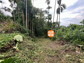 房地賞金獵人大埔美旁1甲7權利農地