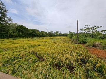 中壢找房仲 東明國小雙面臨路農地