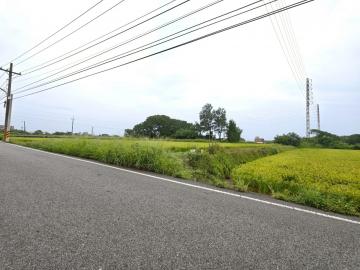 中壢找房仲 新屋保安路上農地+甲建