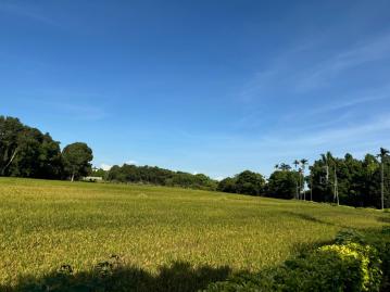 中壢找房仲 土地公庇佑農地