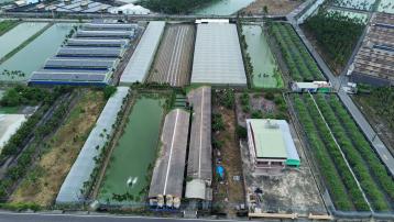 屏東農舍農地 里港塔樓臨路雙效農地