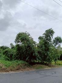 台南廠房土地 關廟北安三街建地