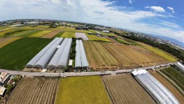 嘉義農地建地太保新埤優質溫室農地