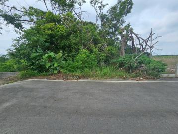 嘉義農地建地 六腳鄉六美國小農地