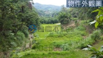 桃園買房賣地 關西渡假莊園農地