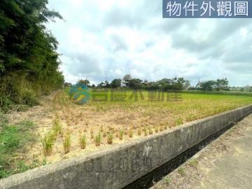 桃園買房賣地 楊梅富岡國小美農地