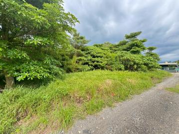 嘉義土地出售 中埔和睦休閒農地