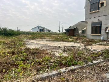 台南市區買房   獨家 義竹24米路大面寬400坪甲種建地