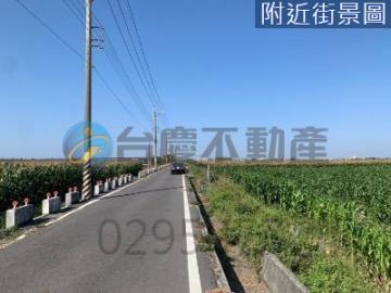 台南土地農地 鹽水孫厝寮『1.6分』方正美農地