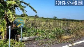 台南土地農地  鹽水台灣詩路對面5分7農地