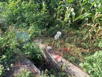 台南土地農地 新營近太子國中農保地